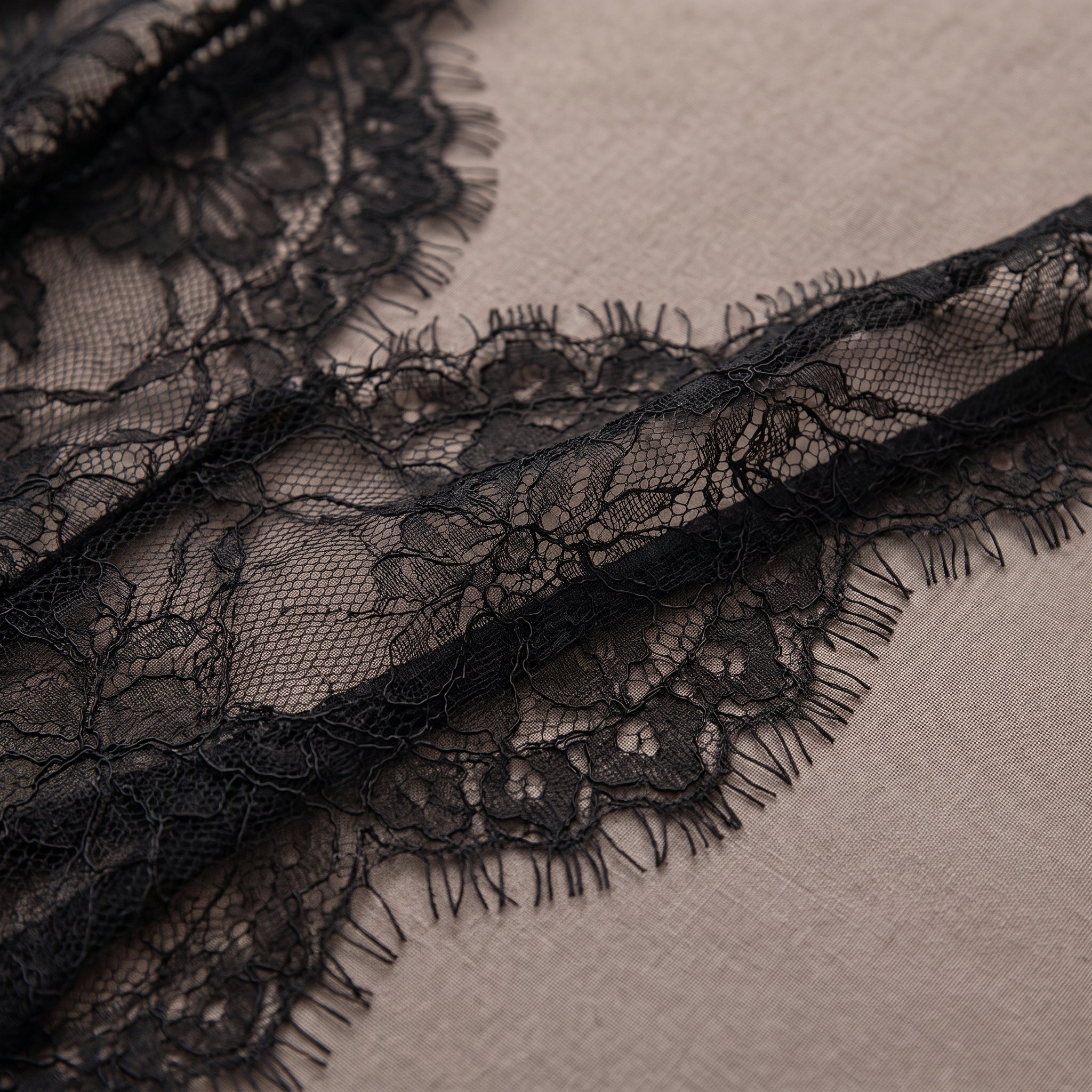 Détail de la dentelle noire transparente florale Image