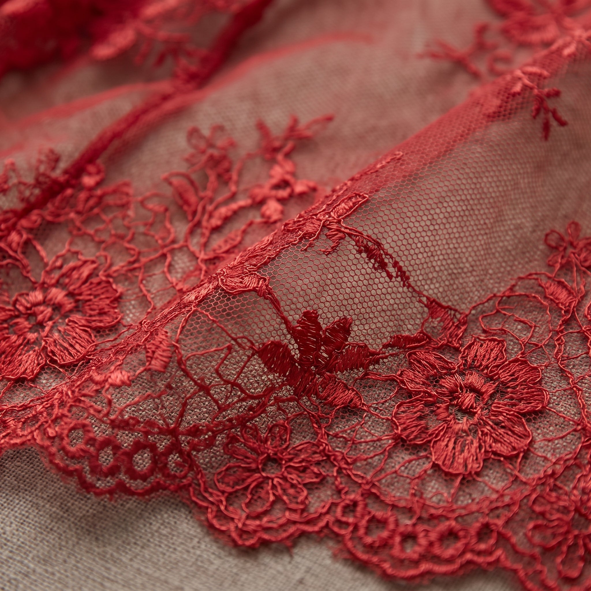 Détail de la dentelle rouge brodée transparente de la jupe Image