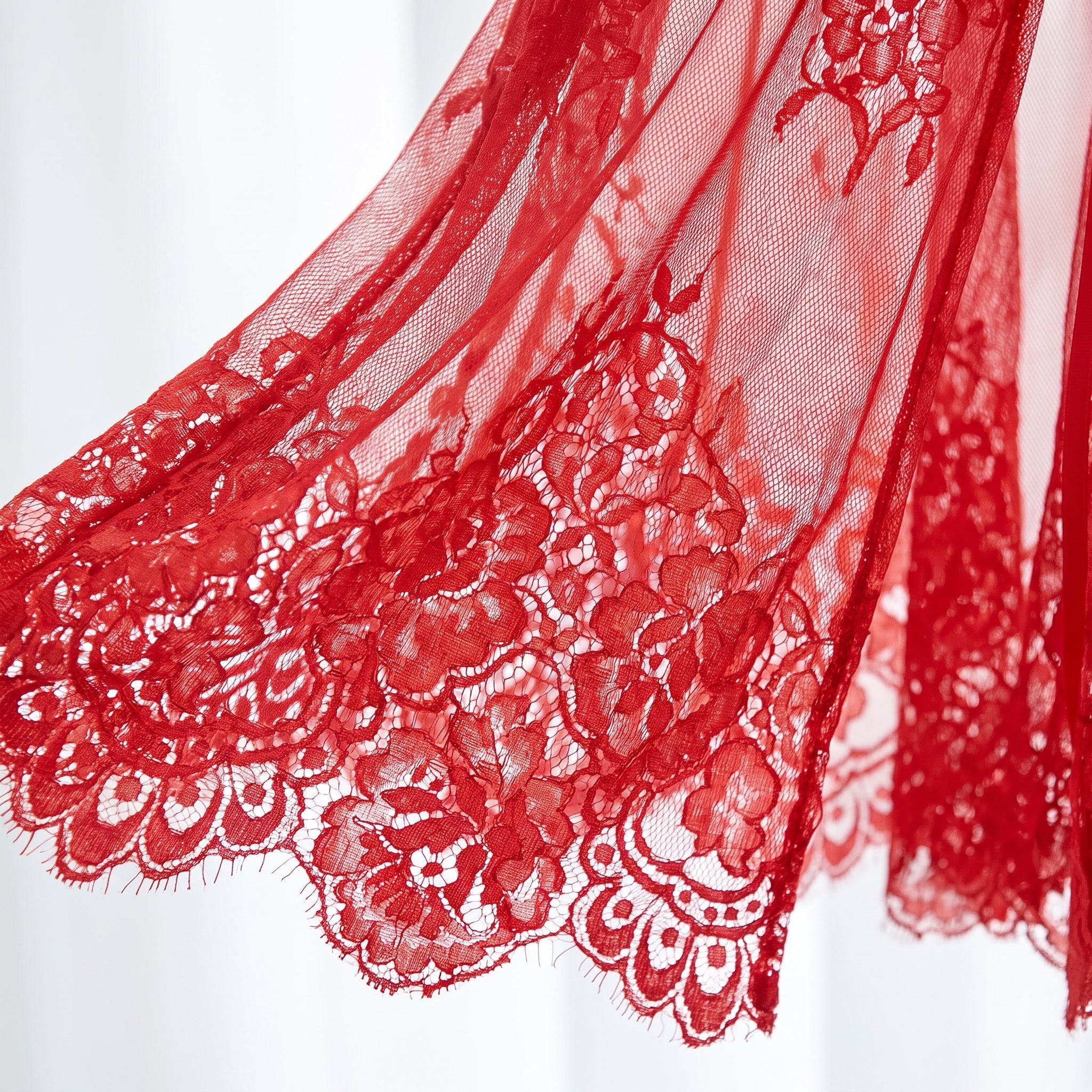 Détail de l'ourlet festonné en dentelle florale rouge transparente Image