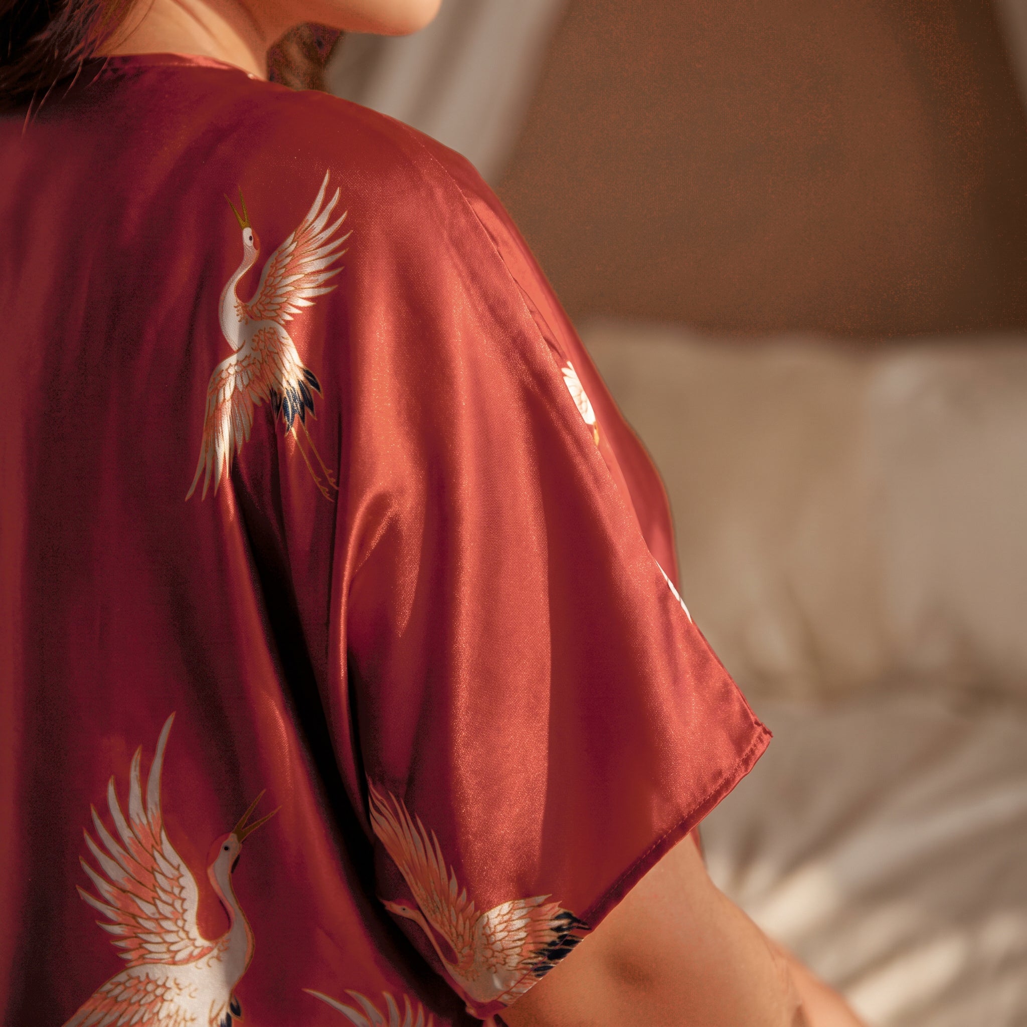 Tombé du satin rouge sur l’épaule de la nuisette grande taille Image