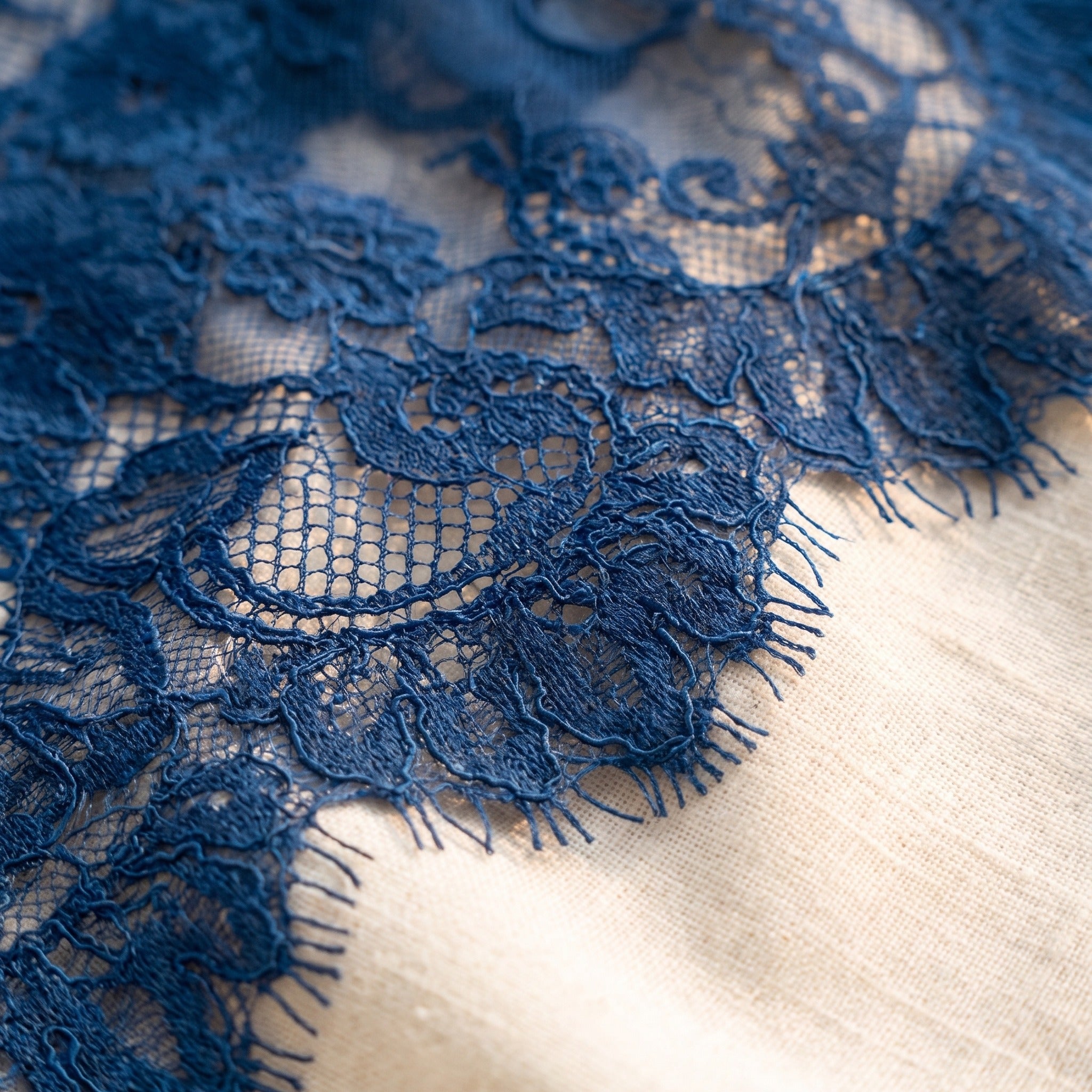 Motif floral et texture de la dentelle bleue en gros plan macro Image